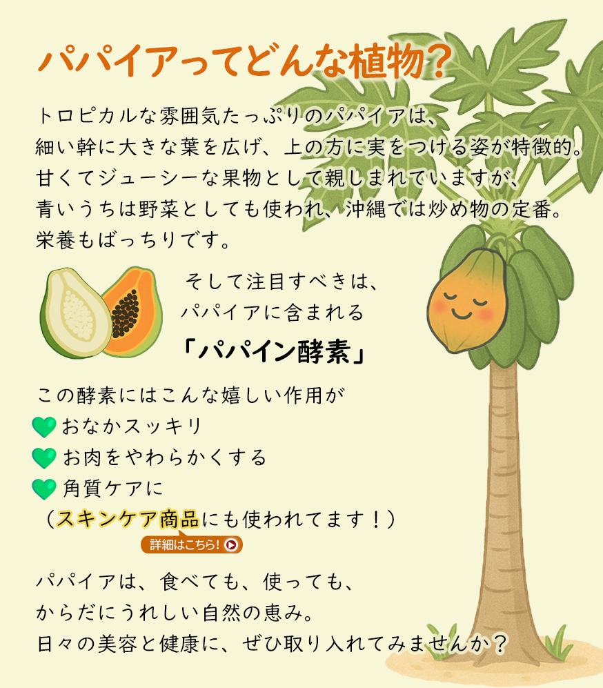 Papaya-plant