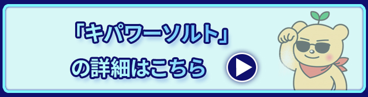 Qipower button