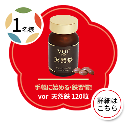 vor天然鉄 120粒（1名様）