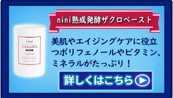 賞品スマホnini